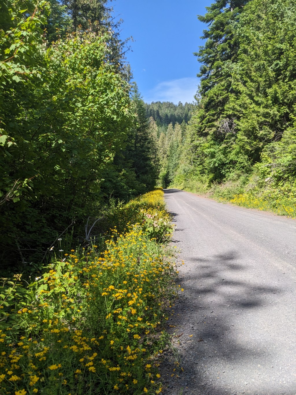 McCroskey State Park