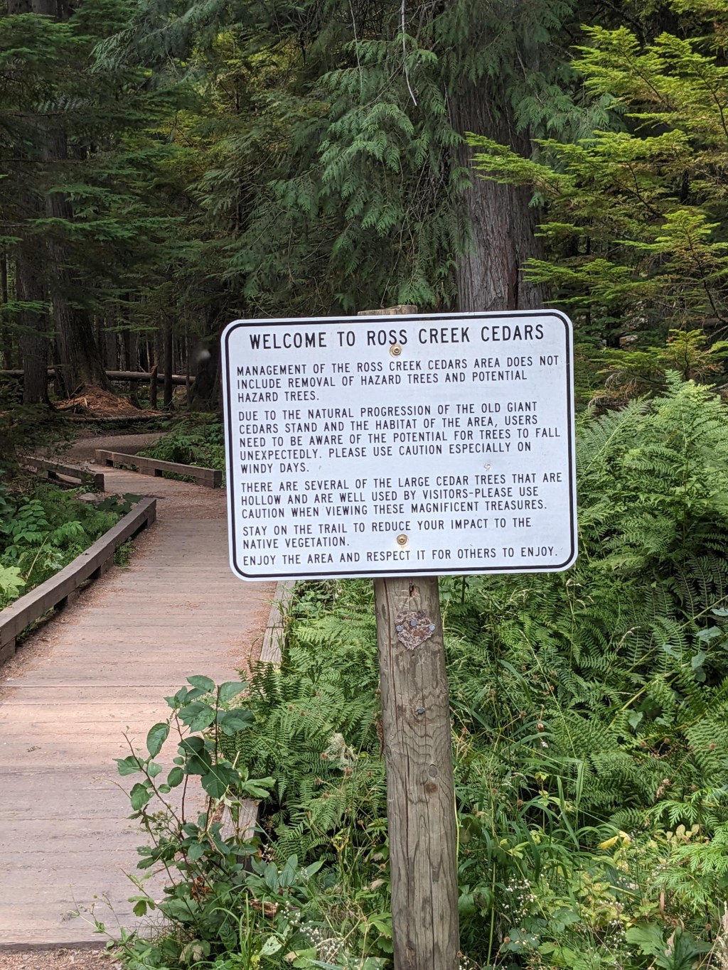 Ross Creek Cedar&nbsp;Grove