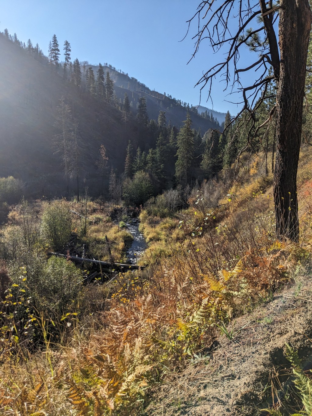 Camping in the Wenaha-Tucannon&nbsp;Wilderness