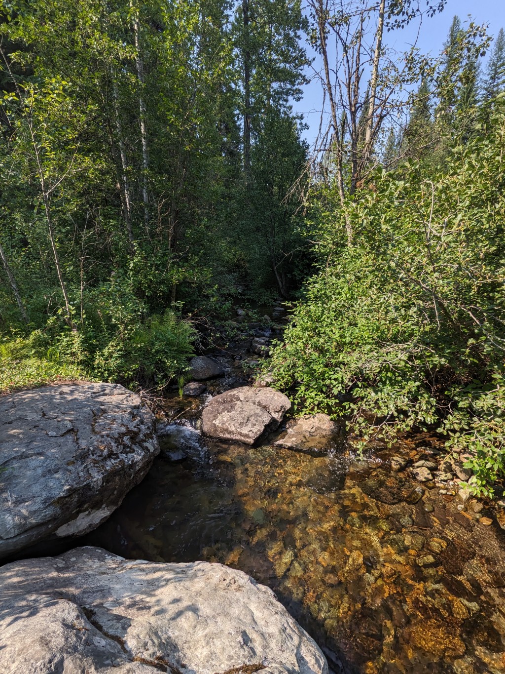 Caribou Campground and Crystal Creek&nbsp;Campground