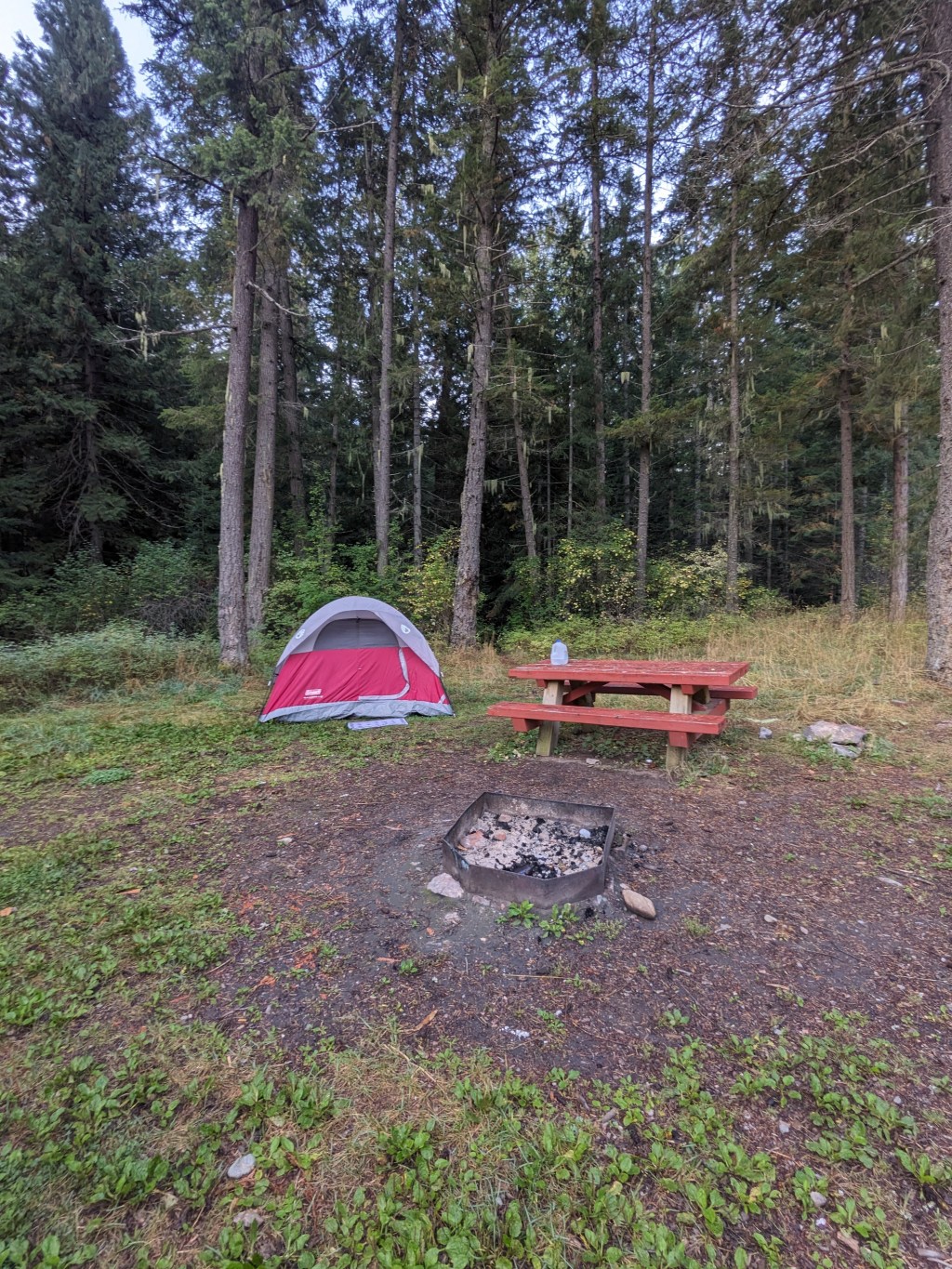Little Joe Campground, Lolo National&nbsp;Forest