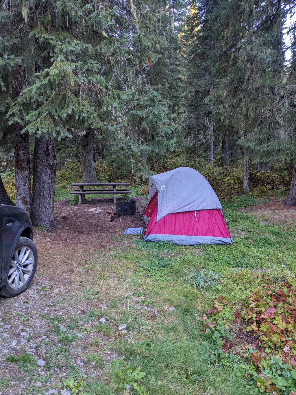 Spruce Tree Campground, Avery,&nbsp;Idaho